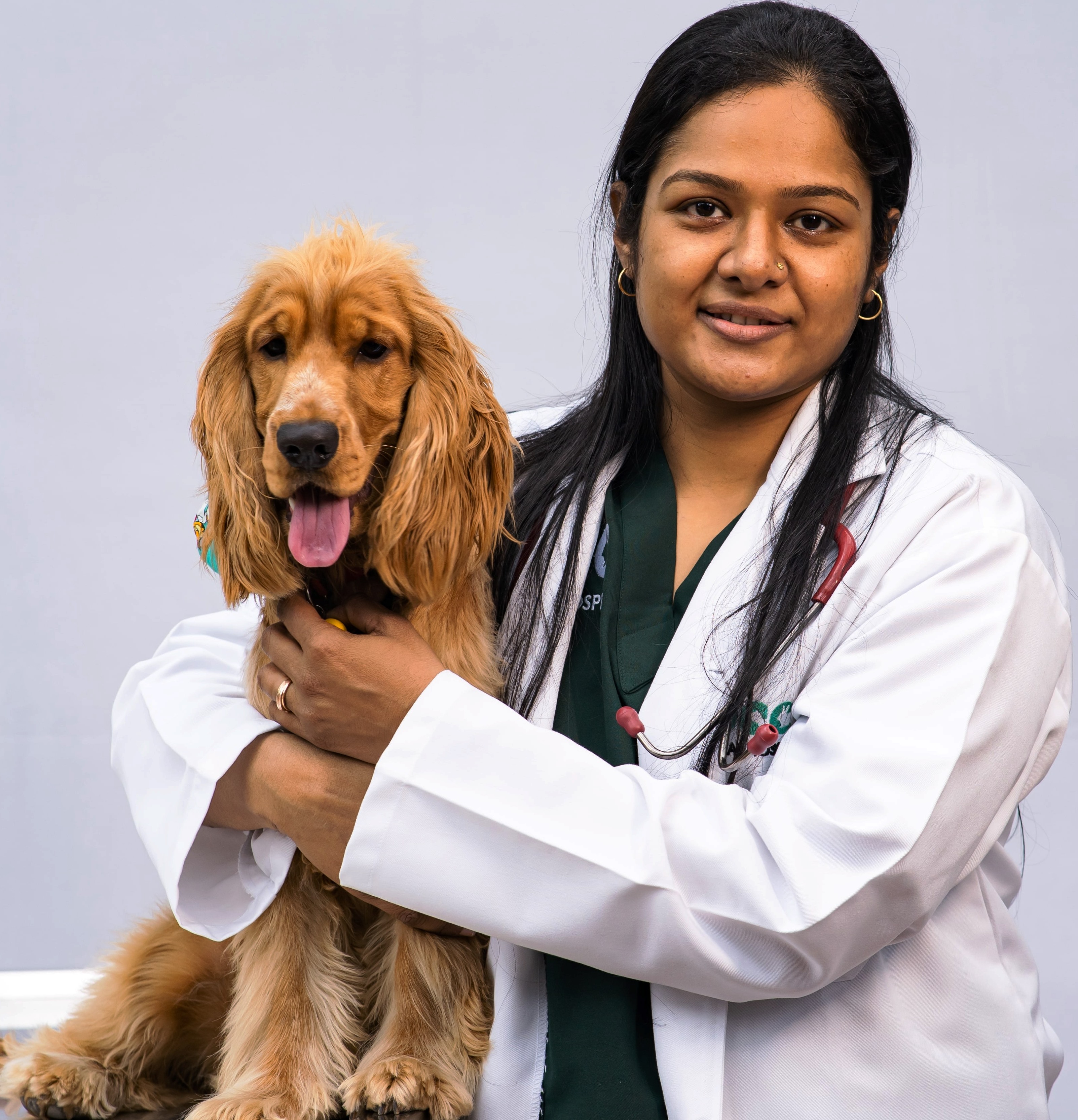 Companion-Animal Veterinarians