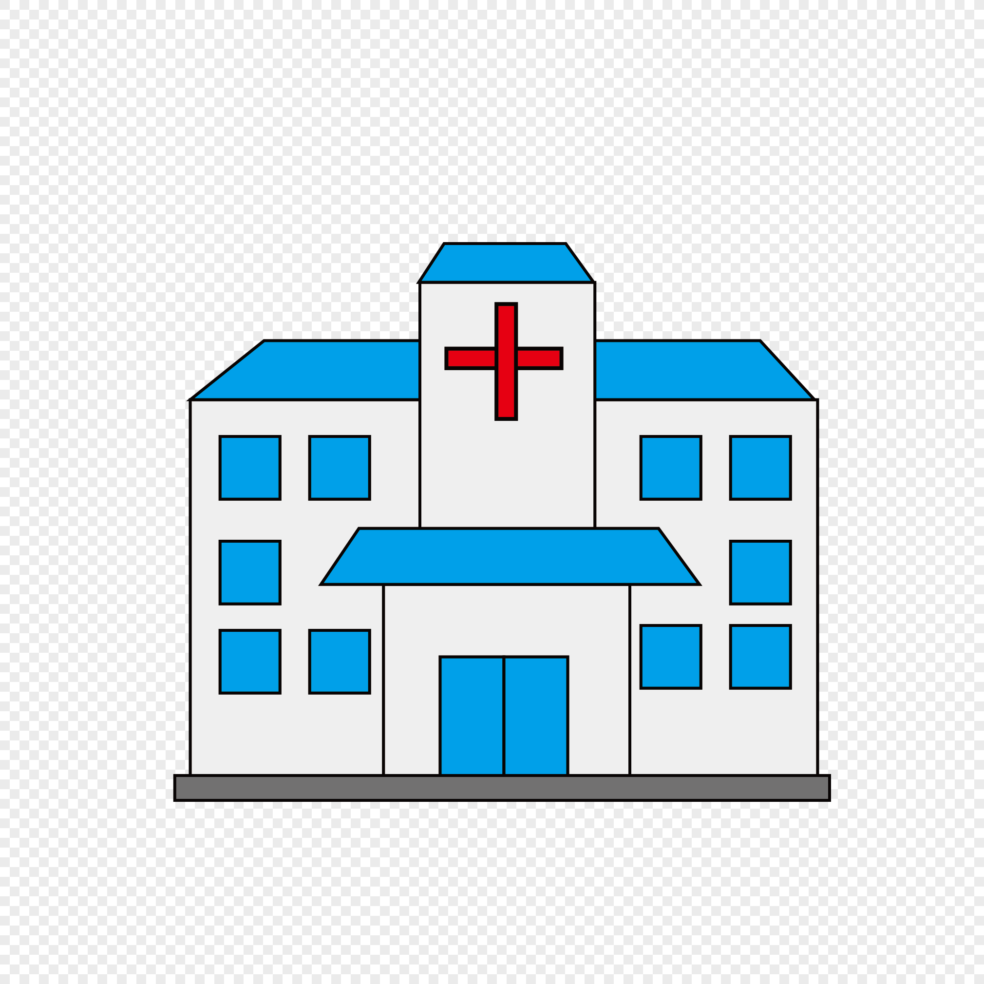 Government Hospital